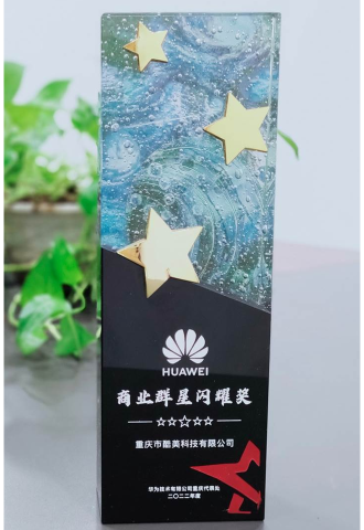 2022-華為-商業群星閃耀獎